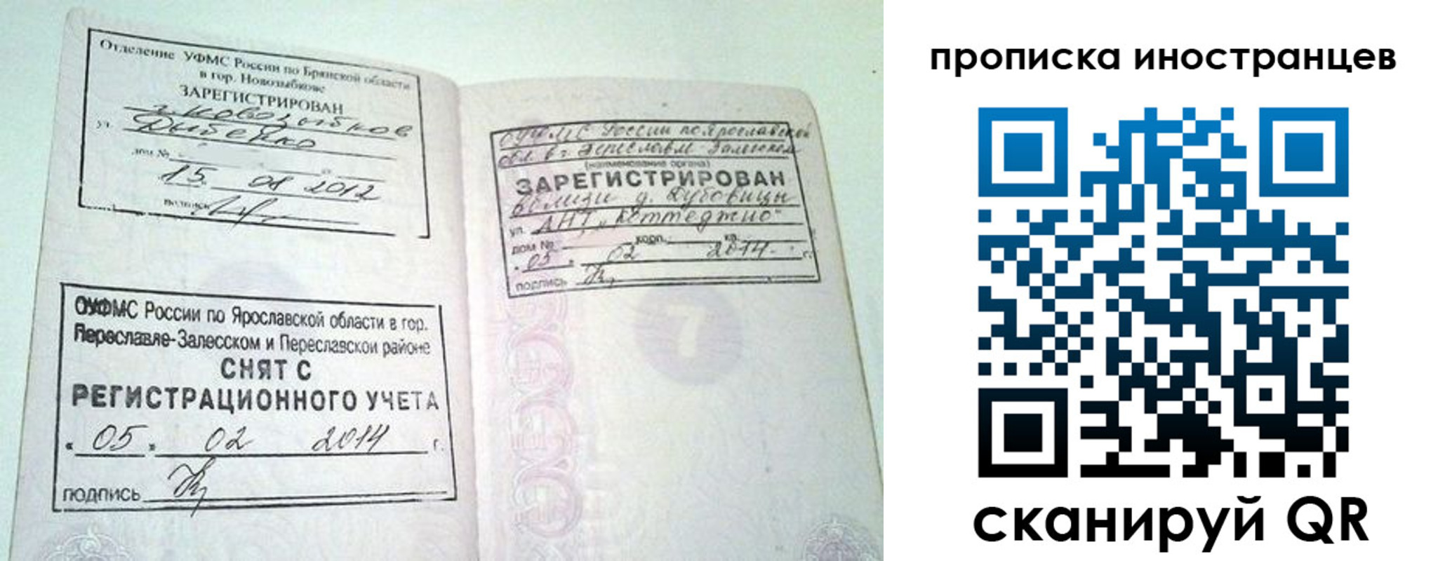 прописка от собственника в Курской области